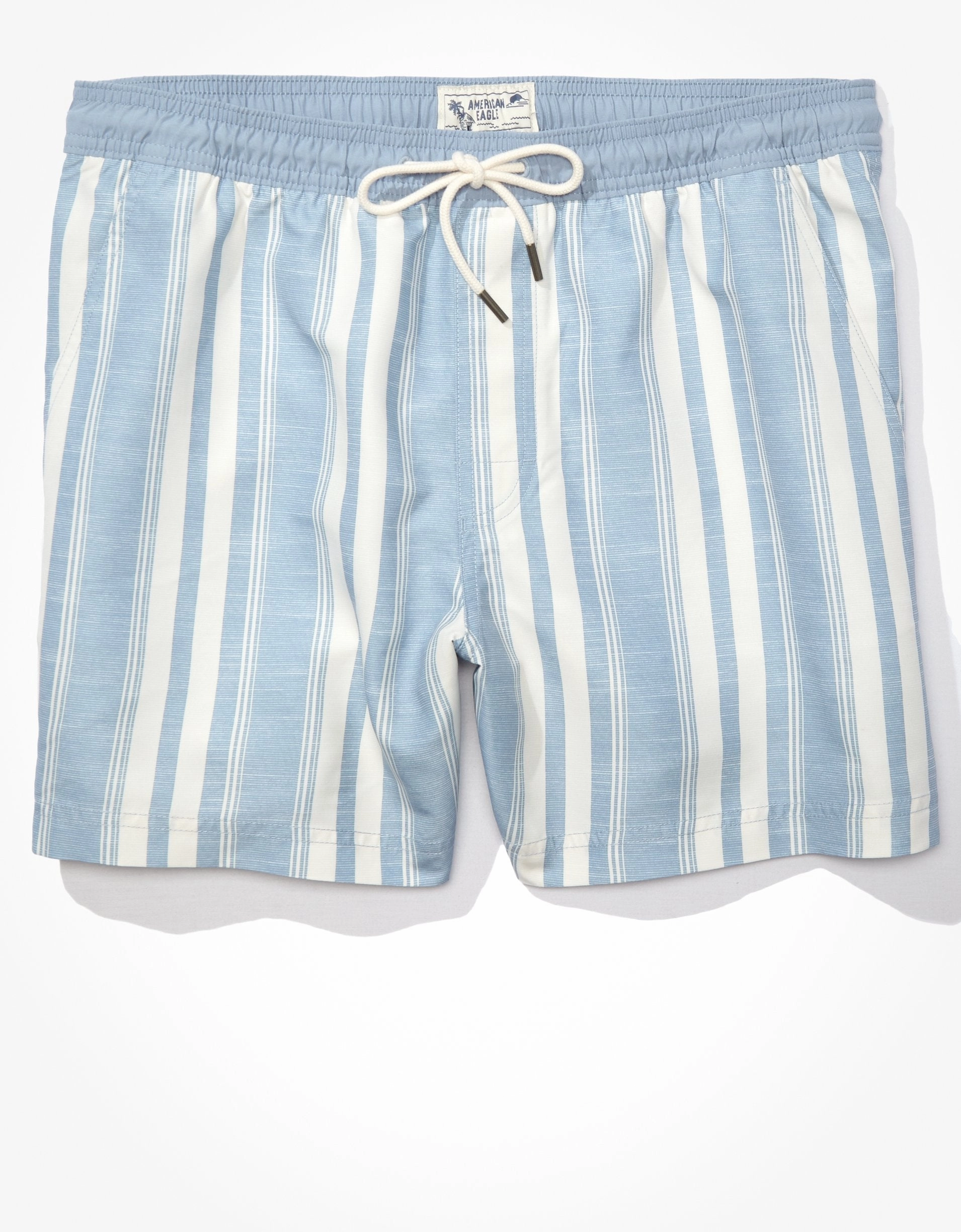 AE 5.5" Striped Swim Trunk