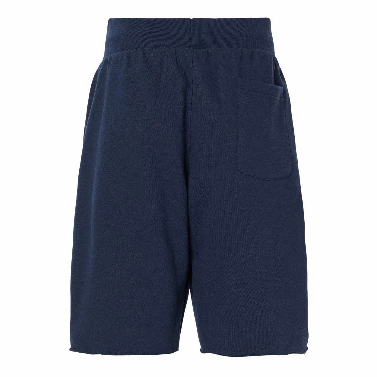 Champion Reverse Weave Shorts