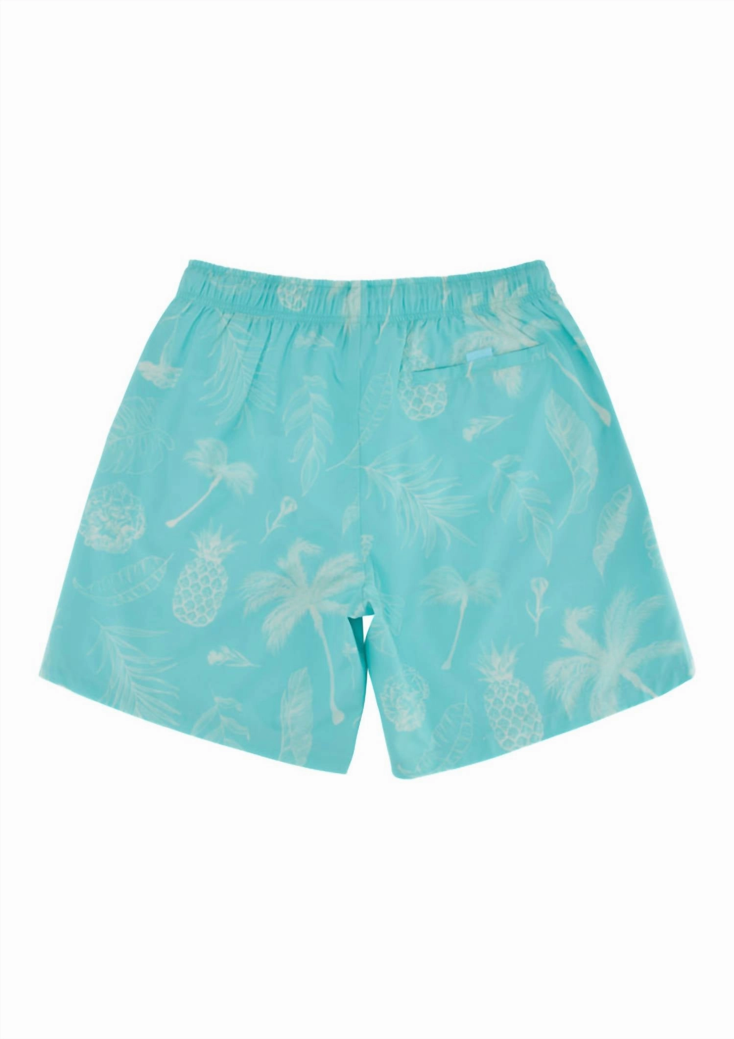Classic Ropes Trunks In Aqua Tropics