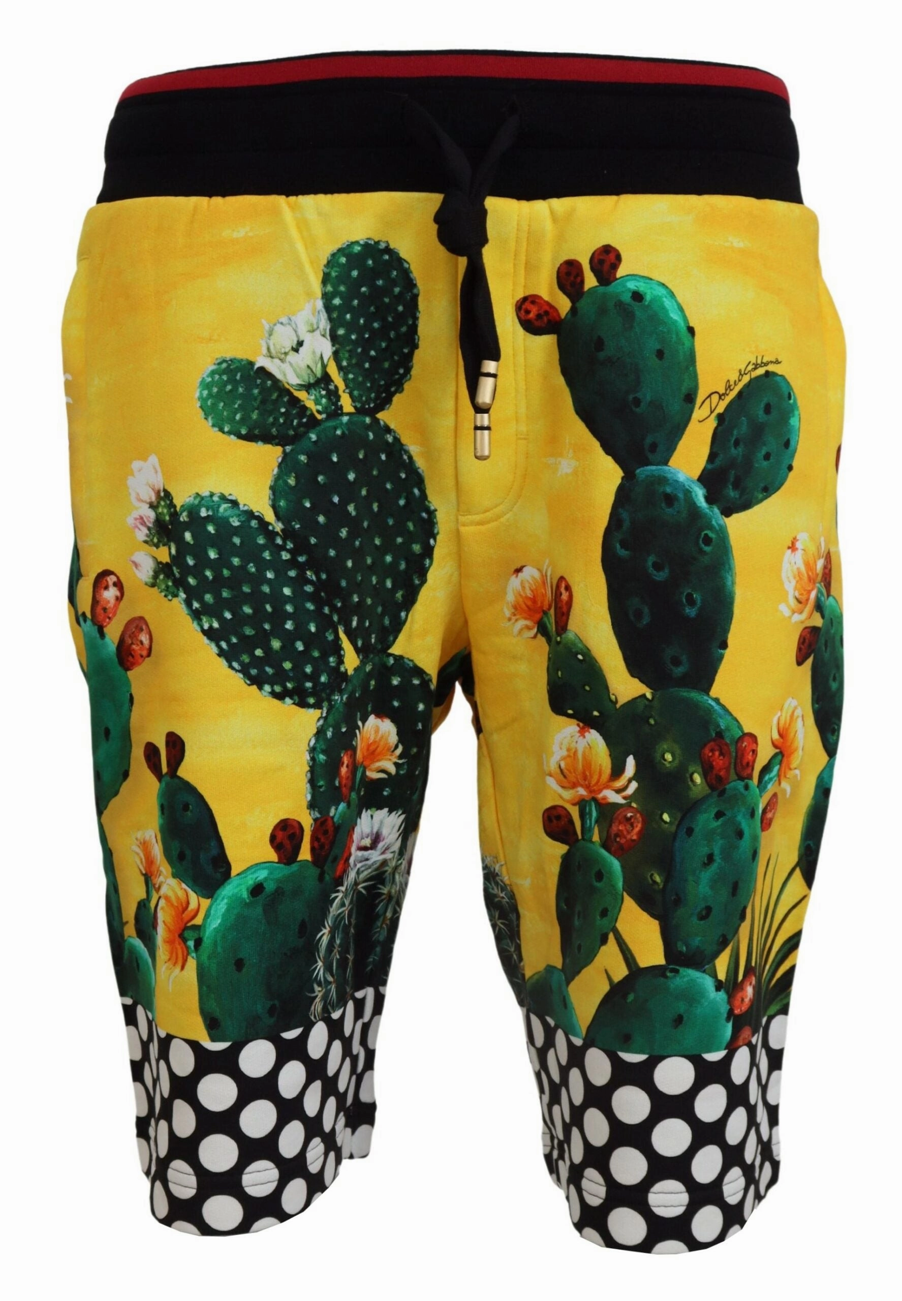 Dolce & Gabbana Cactus Print Sweat Men's Shorts