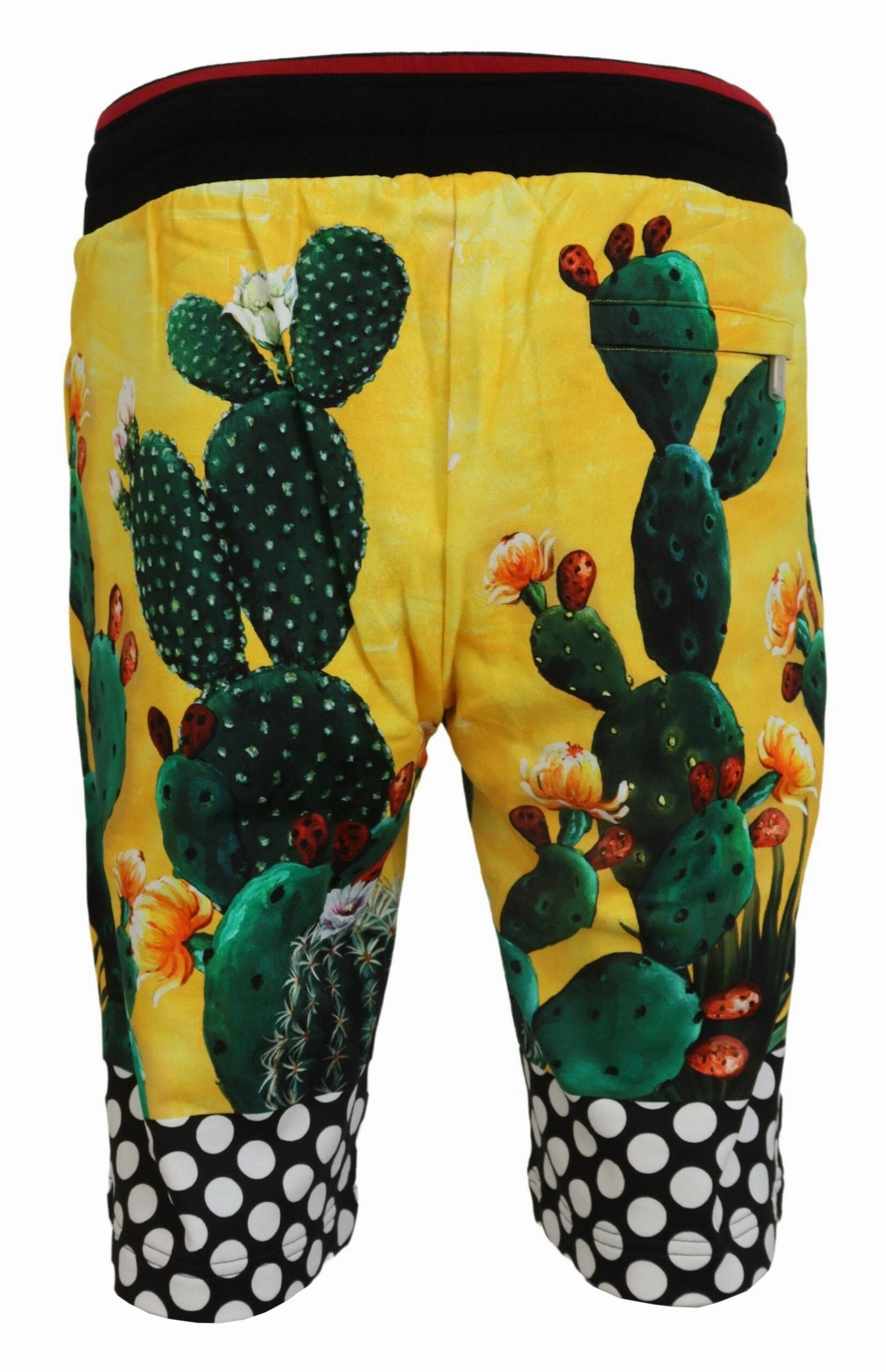 Dolce & Gabbana Cactus Print Sweat Men's Shorts