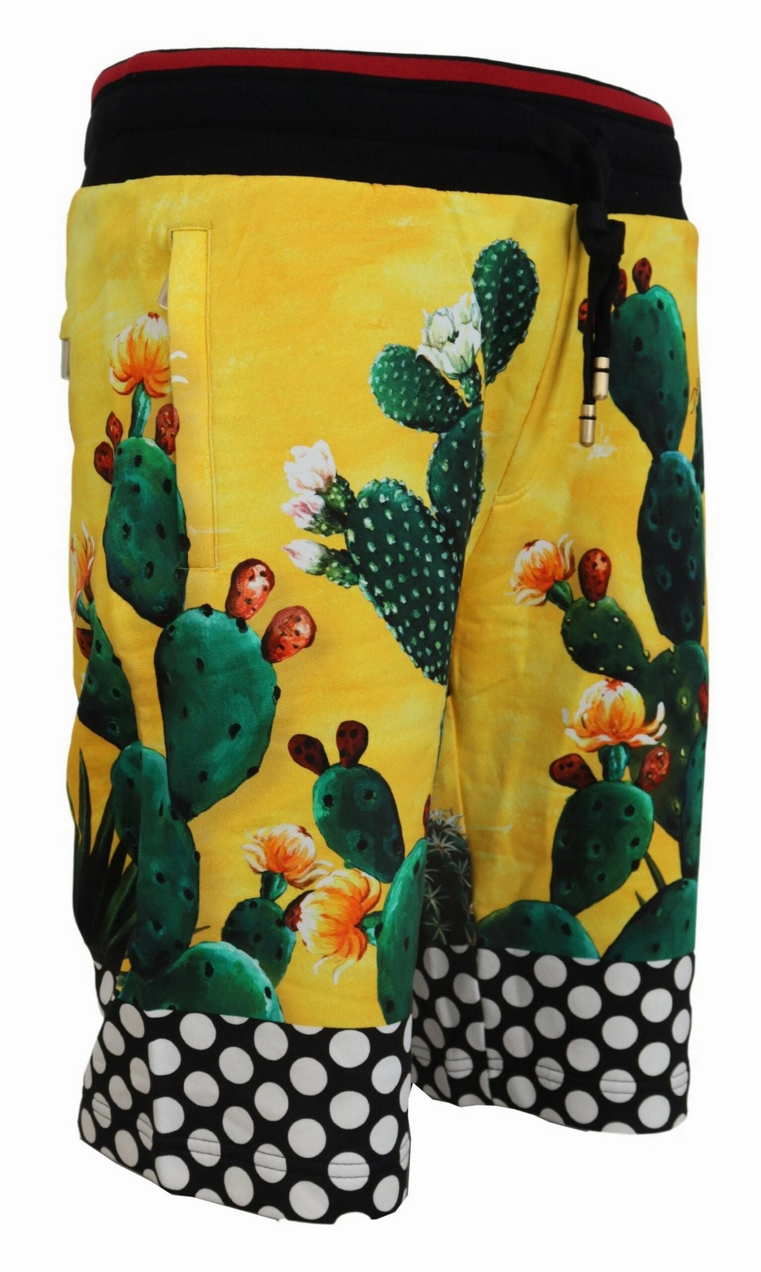 Dolce & Gabbana Cactus Print Sweat Men's Shorts
