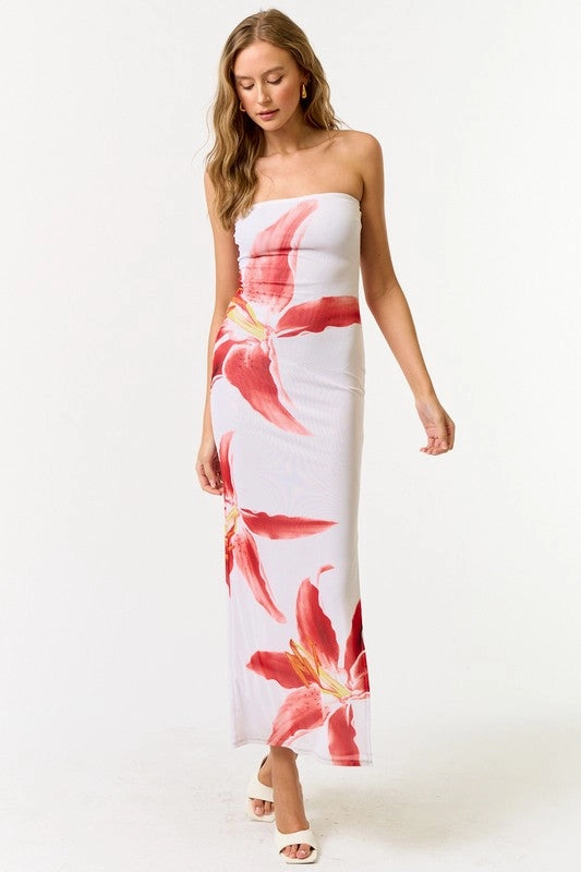 Hanalei Mesh Tube Floral Maxi Dress