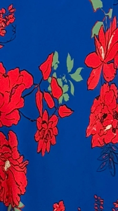 Leah Maxi Dress - Blue/Red Floral