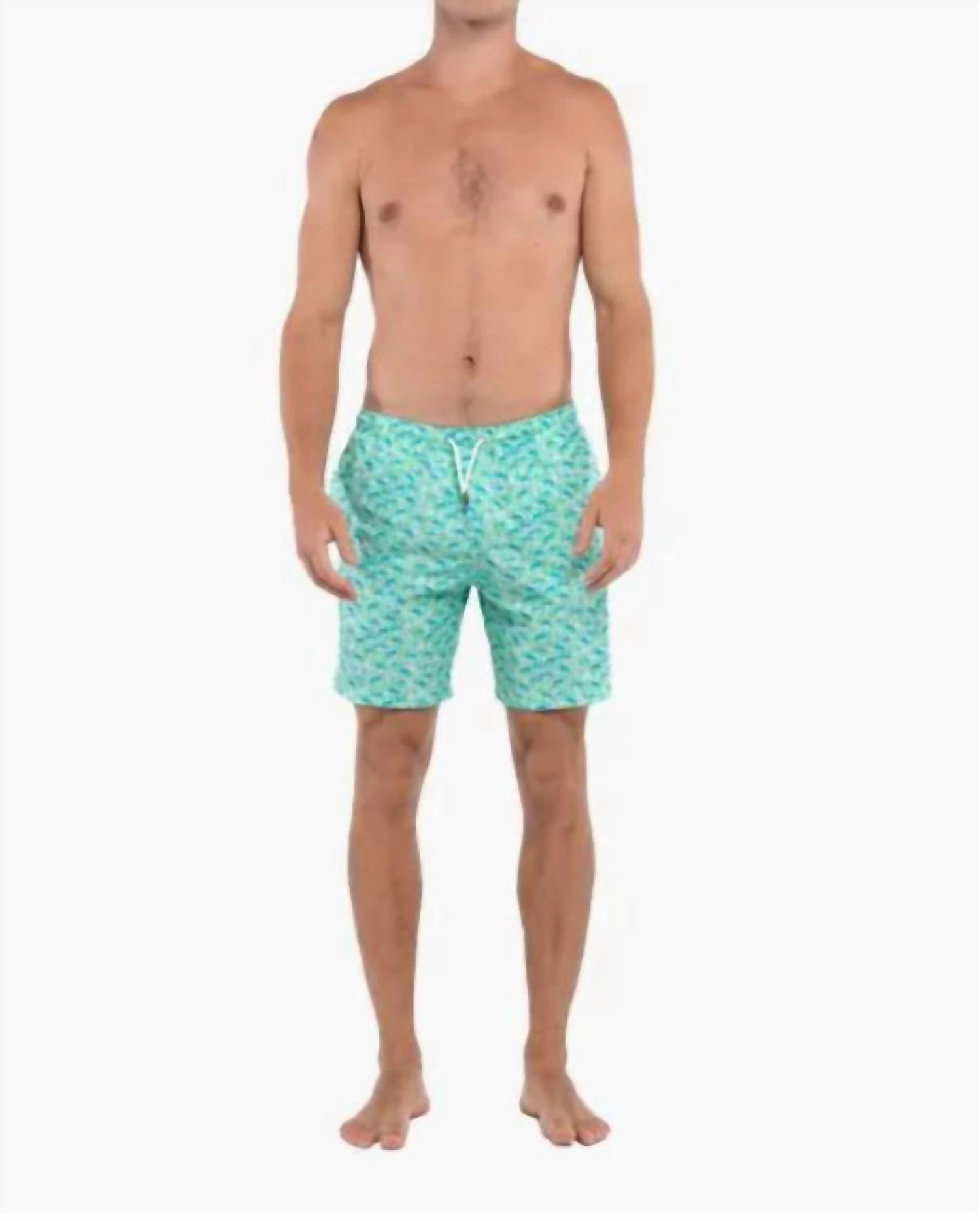 Men's Board Shorts In Green Marlin