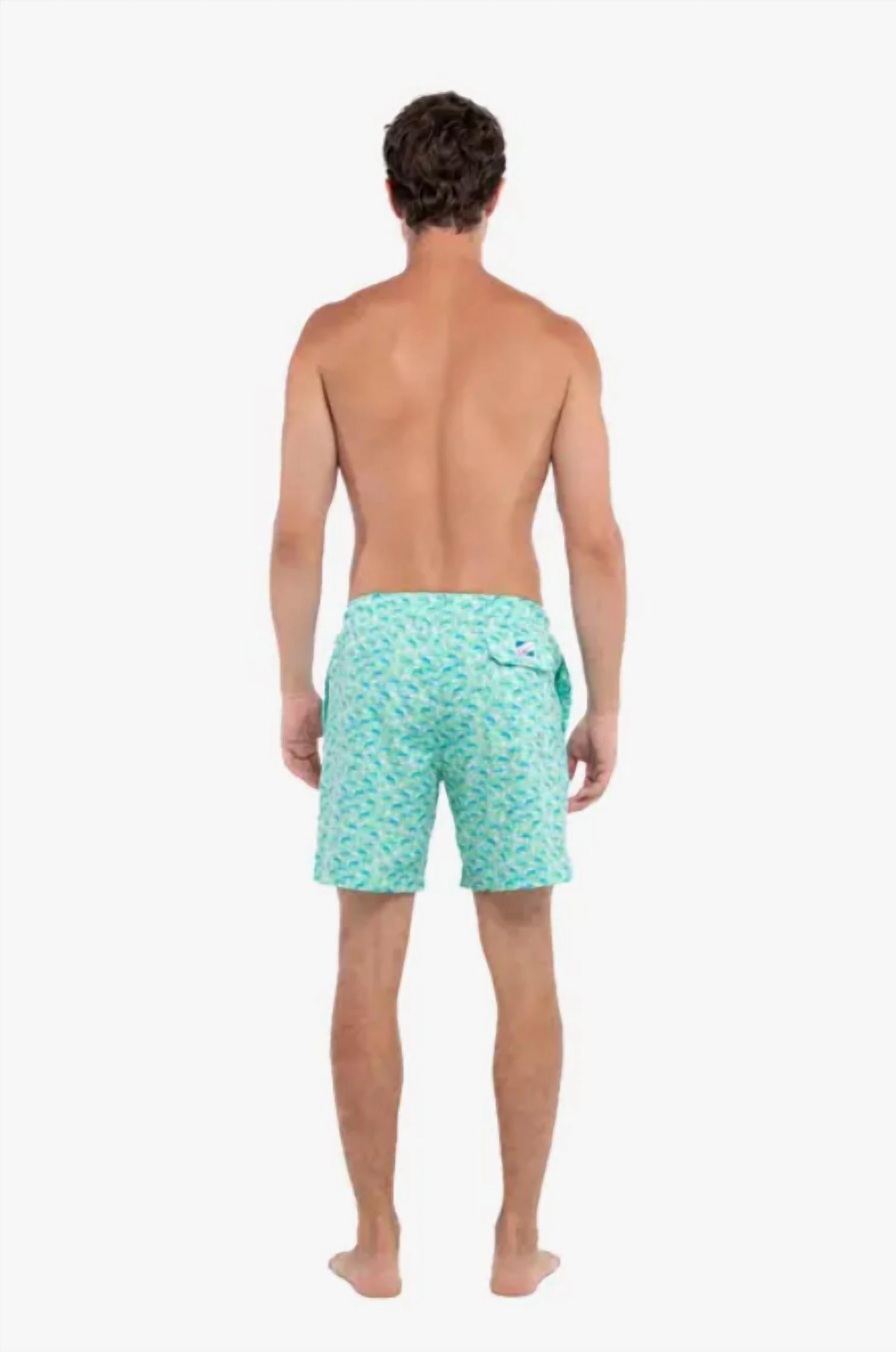 Men's Board Shorts In Green Marlin