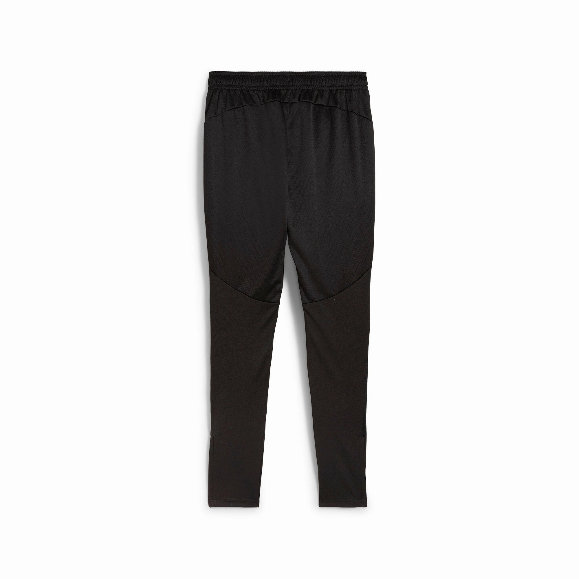 PUMA Men's Borussia Dortmund Training Pants
