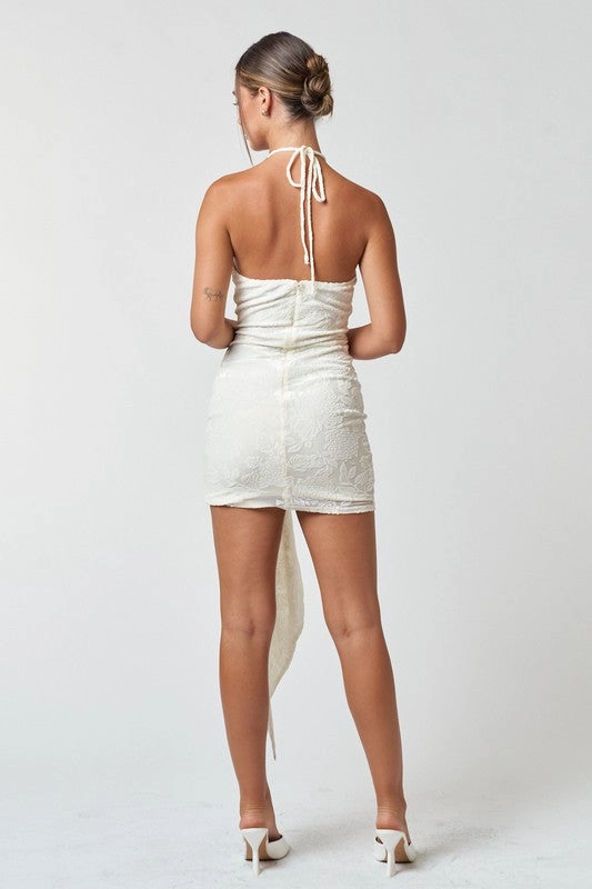 Rosette Burnout Velvet Mini Dress