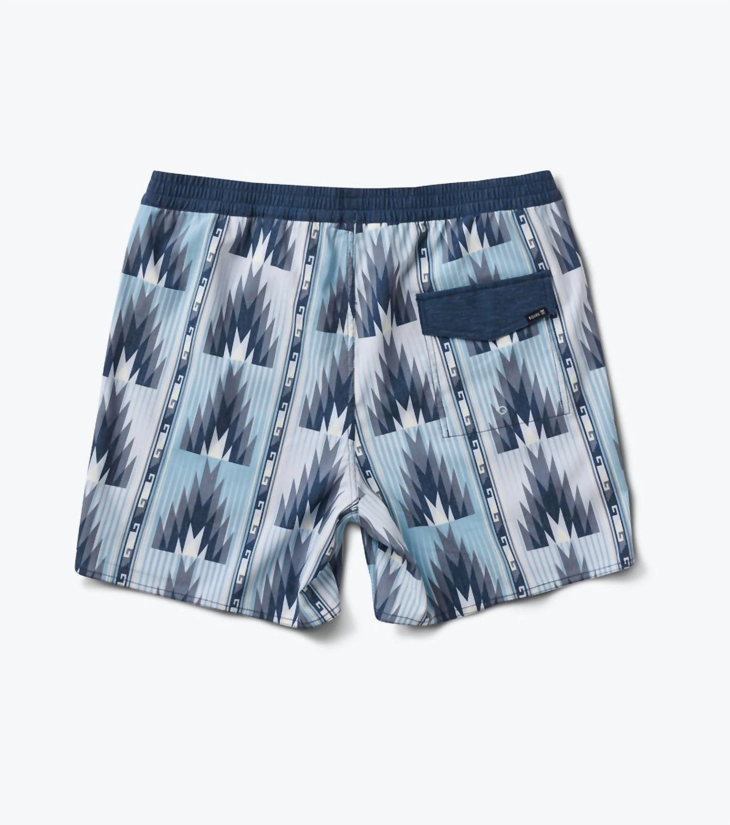Shorey Boardshorts In Agave Blue