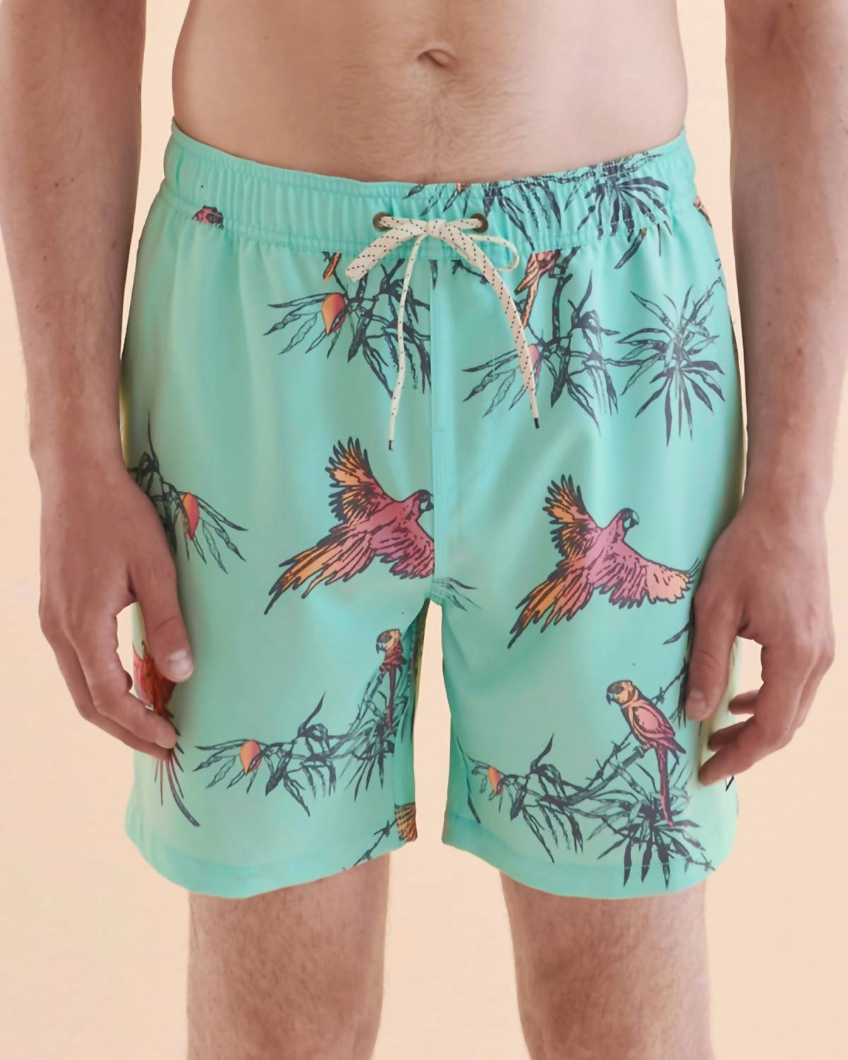 Sundays Boardshort In Mist