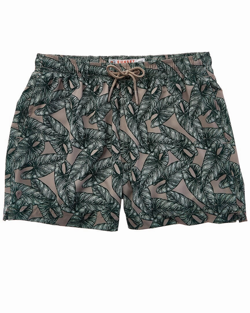 Sunset and Vine Adonis Stretch Woven Print Swim Trunk