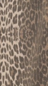 Vasila Button Up Shirt and Shorts Set - Light Leopard Print
