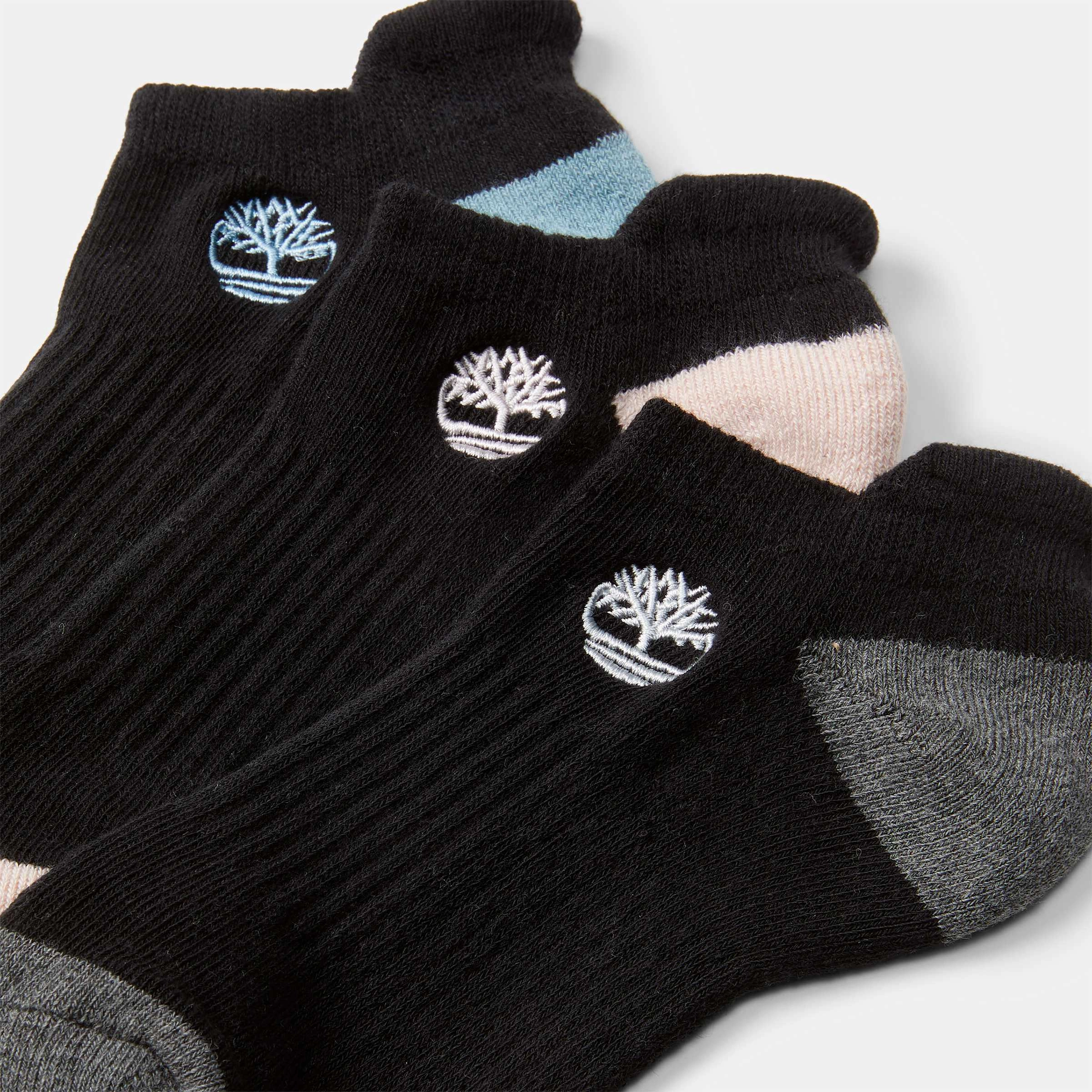 Women's 3-Pack Sagamore Beach No-Show Sock
